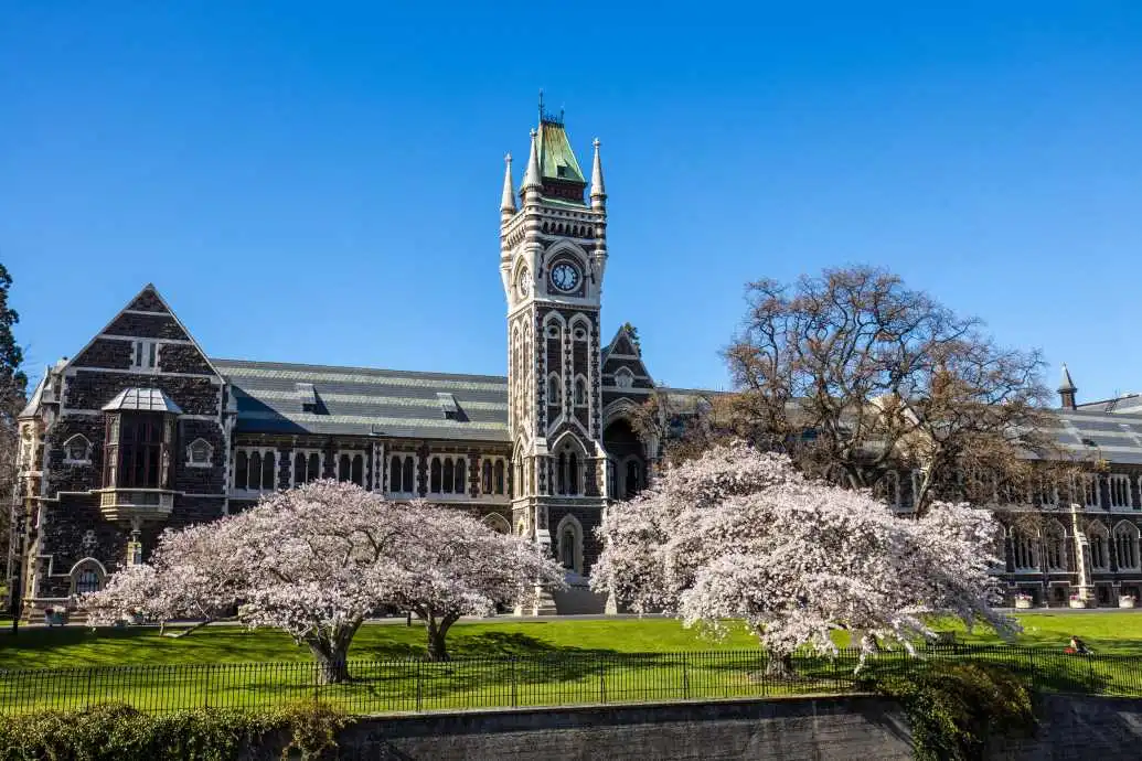 Spring Flower Finder Blossoms Blossom trees bloom in front of the gothic University of Otago Registry Building.