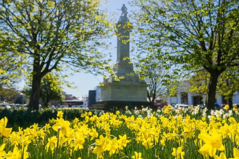 Spring Flower Finder Oval Yellow daffodils spring in the foreground in front of a monument.
