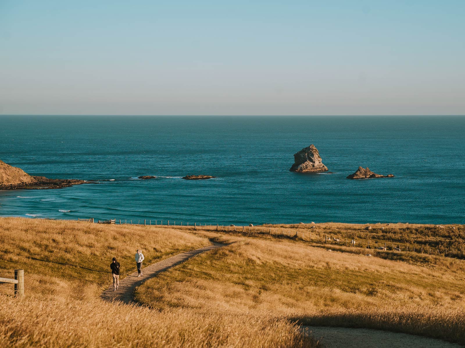 Sandfly Bay