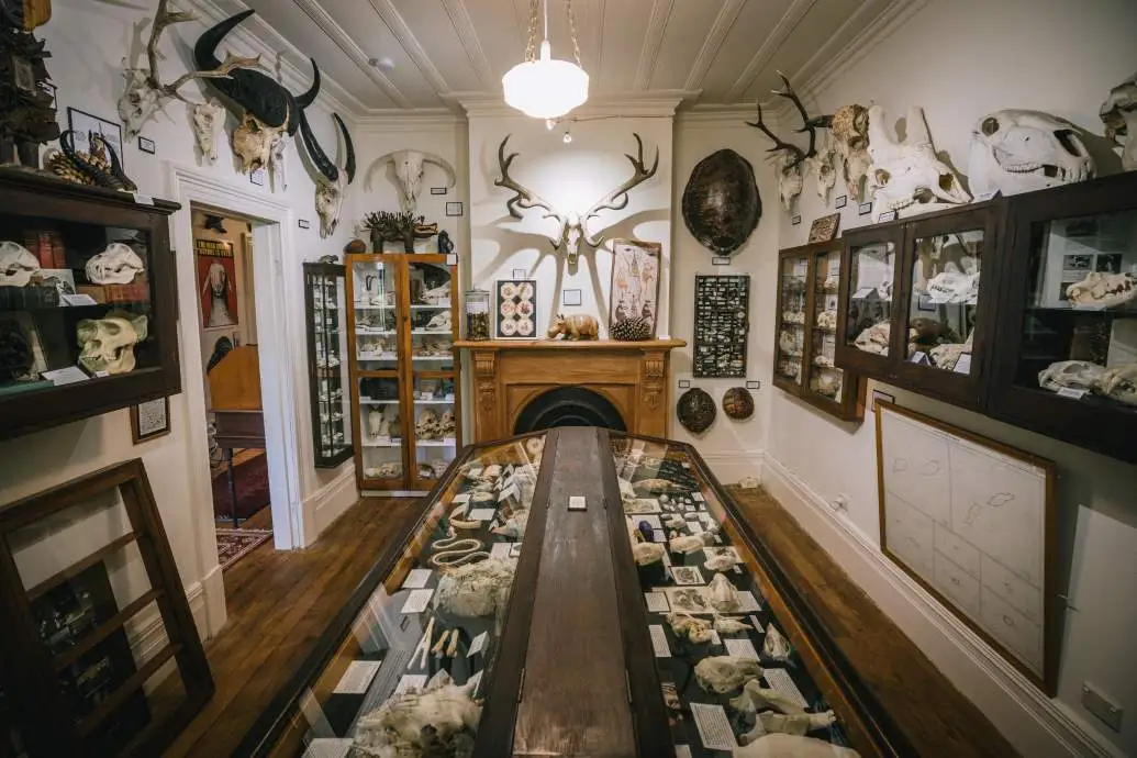 Museum of Natural Mystery The collection at the museum of natural mystery.