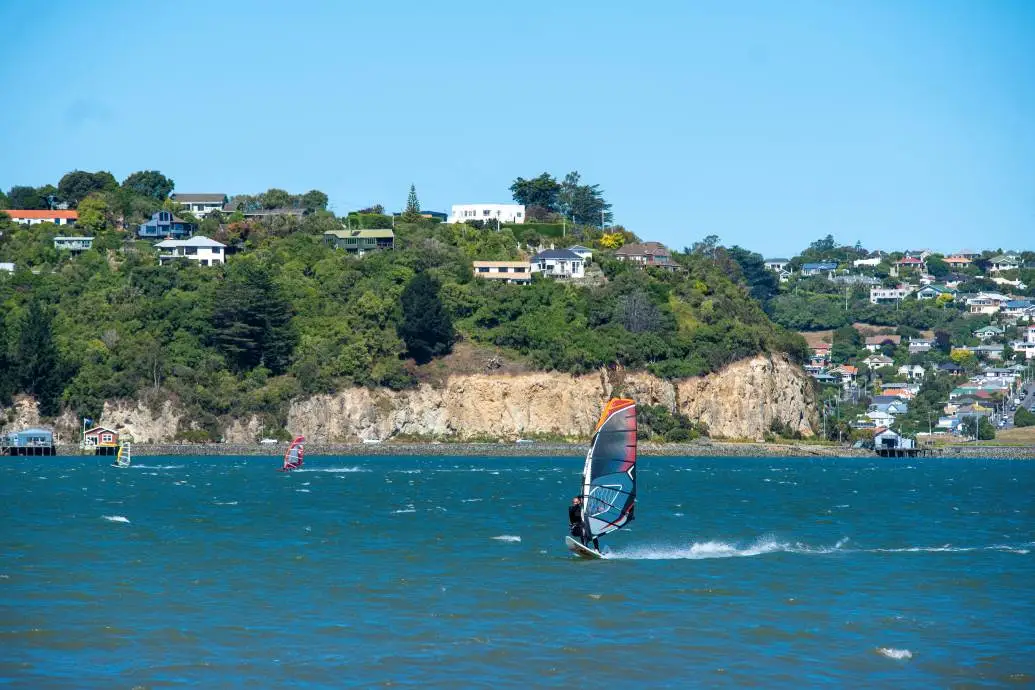 Windsurfer harbour A windsurfer on the Otago Harbour.